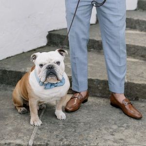 Blue collar and bow tie! Perfect for your sophisticated pup. 🎩👔 Size XL